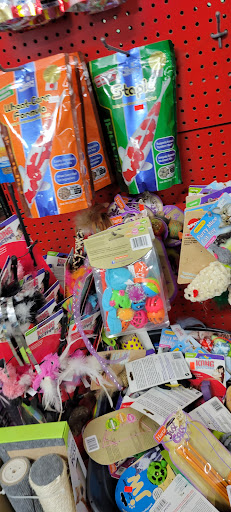 Pet Store «Southside Aquatics», reviews and photos, 2039 Pleasanton Rd, San Antonio, TX 78221, USA