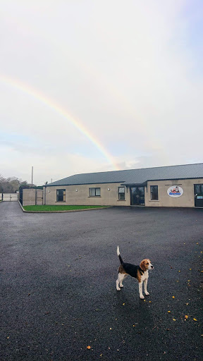 Riverview ni Kennels & Cattery