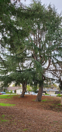 Park «Blossom Hill Park», reviews and photos, 16300 Blossom Hill Rd, Los Gatos, CA 95032, USA