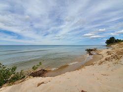 Zdjęcie Golden Township Beach z poziomem czystości wysoki