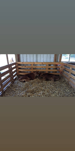 Farm «Kellers Farmstand», reviews and photos, 2500 Johnson Rd, Oswego, IL 60543, USA