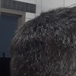 Photo n° 1 de l'avis de Julien.r fait le 18/02/2024 à 17:01 pour Franck Provost - Coiffeur Aubière/Clermont Ferrand à Aubière