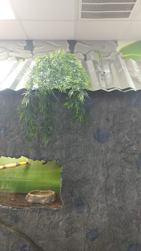 Pet Store «Everything Pet», reviews and photos, 3616 N Fry Rd, Katy, TX 77449, USA