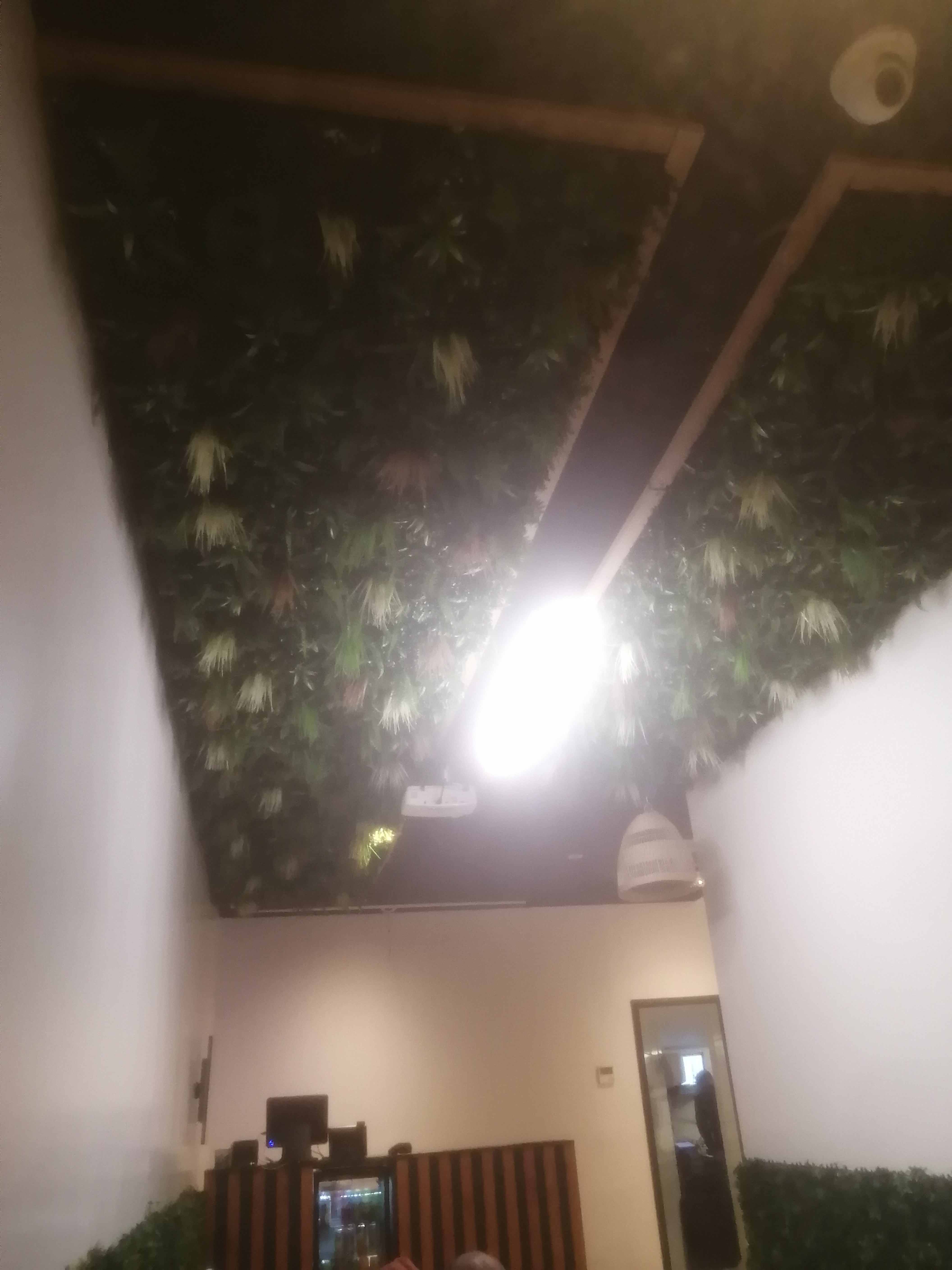 Photo n° 3 de l'avis de D.N.B fait le 10/12/2023 à 19:01