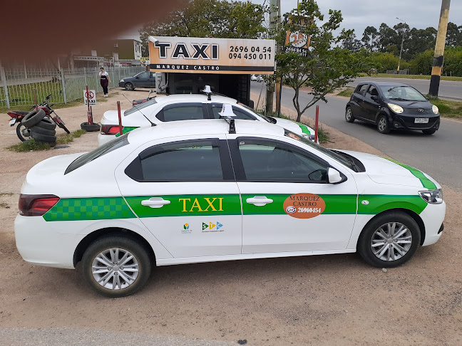 Opiniones de Taxi Solymar Parada Marquez Castro en Canelones - Servicio de taxis