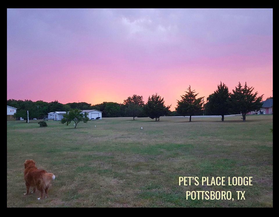 Pet's Place Lodge