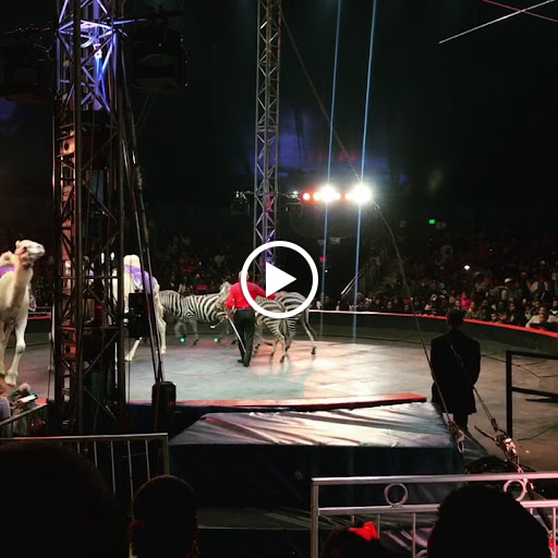 Festival «Atlanta Fair», reviews and photos, 655 Central Ave SW, Atlanta, GA 30312, USA