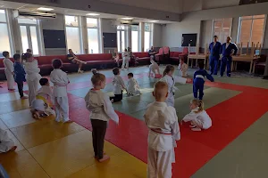 Higham and Rushden Judo Club image