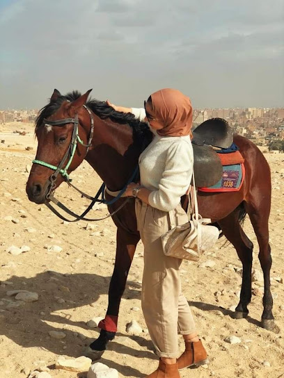 اسطبل بلوظة لركوب الخيل و رحلات السفاري