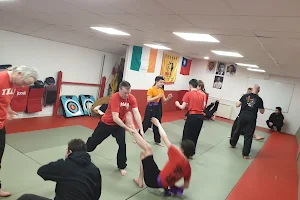 The Martial Arts Academy image