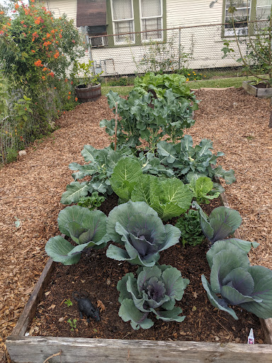 Hershe Community Garden image 2