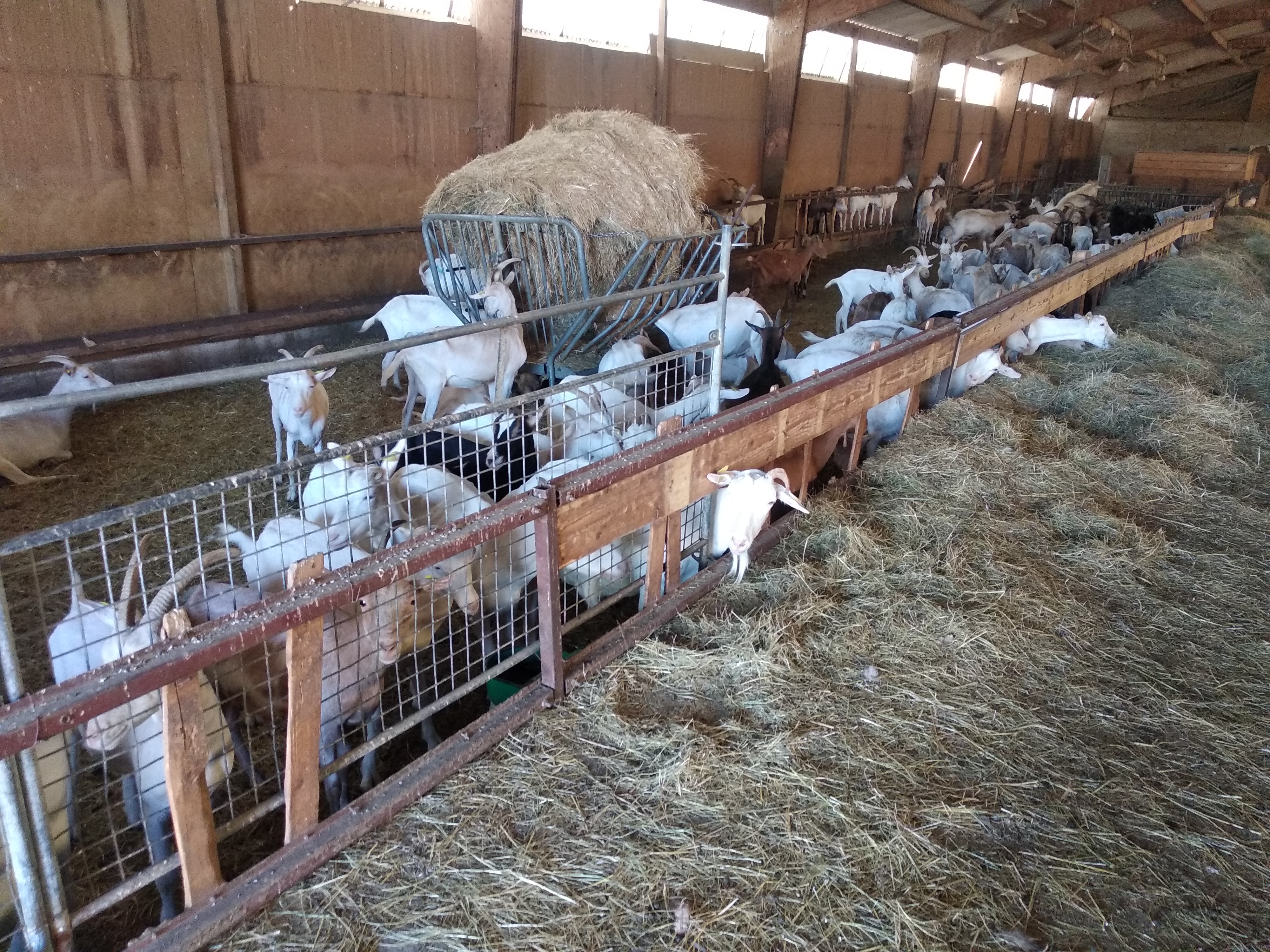 Photo n° 7 de l'avis de gerard.a fait le 07/09/2020 à 15:59