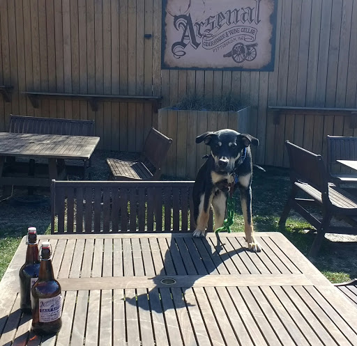 Winery «Arsenal Cider House & Wine Cellar», reviews and photos, 300 39th St, Pittsburgh, PA 15201, USA