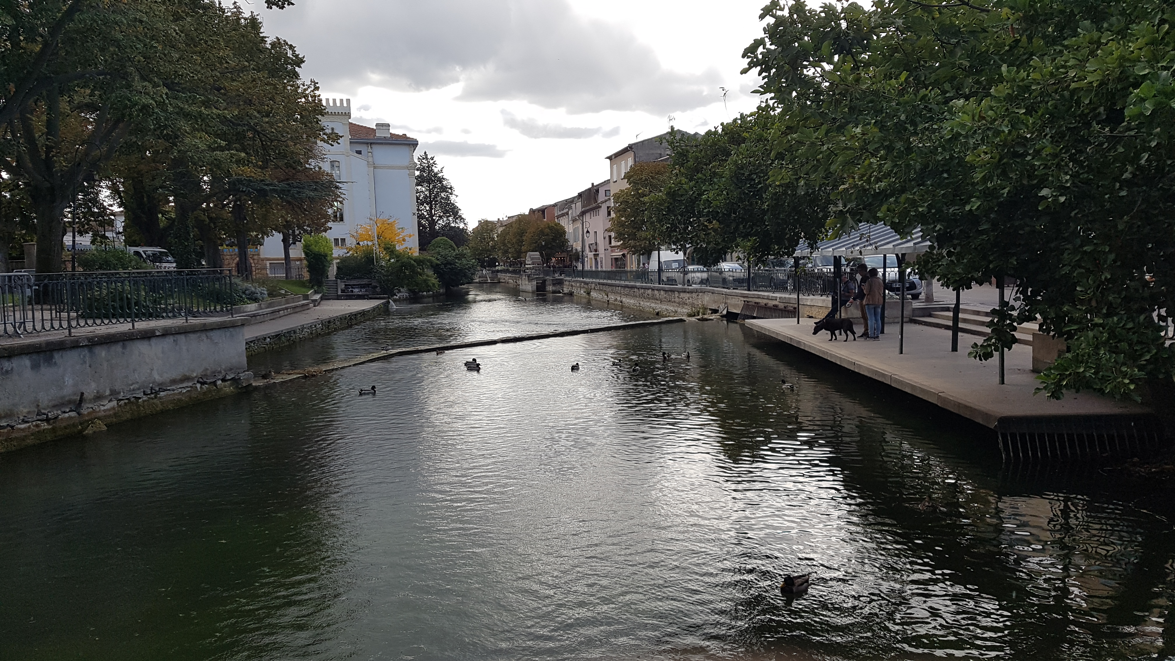 Photo n° 1 de l'avis de Michel.e fait le 19/10/2019 à 17:36