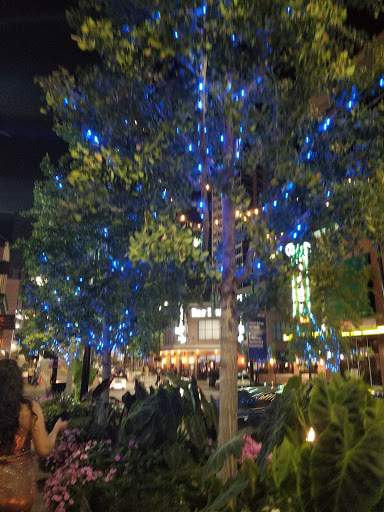 Night Club «Mosaic Ultra Lounge», reviews and photos, 1331 Walnut St, Kansas City, MO 64106, USA