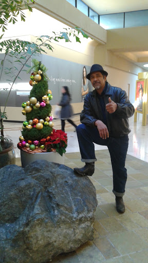 Department Store «JCPenney», reviews and photos, 63 Serramonte Center, Daly City, CA 94015, USA