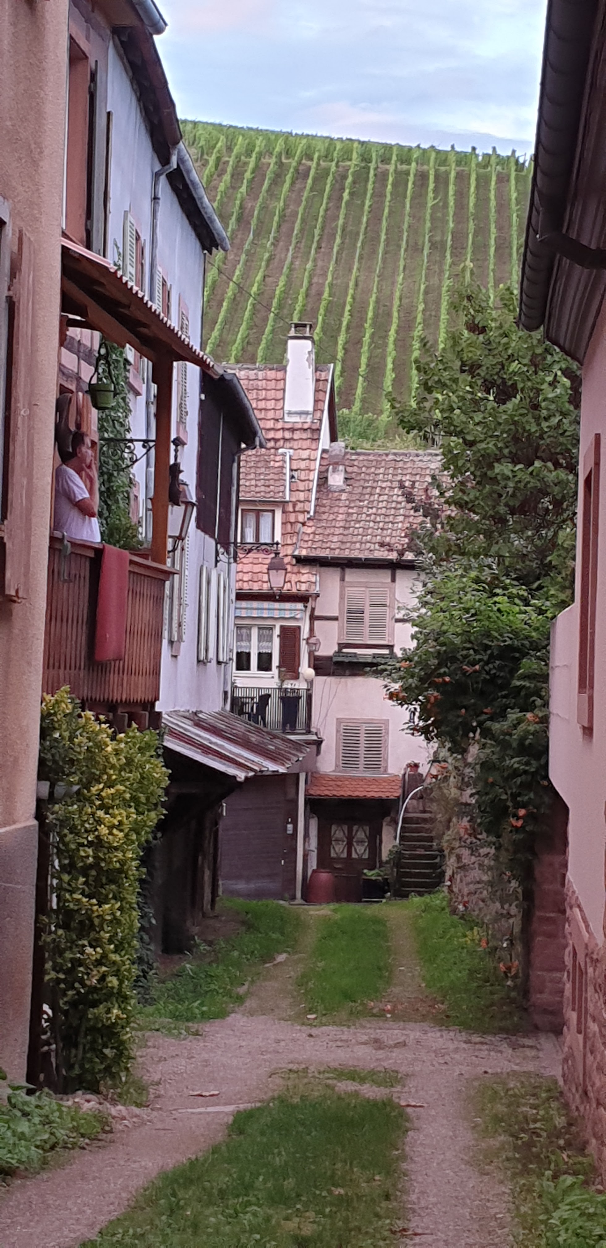 Photo n° 22 de l'avis de Barbara.e fait le 14/08/2019 à 21:56