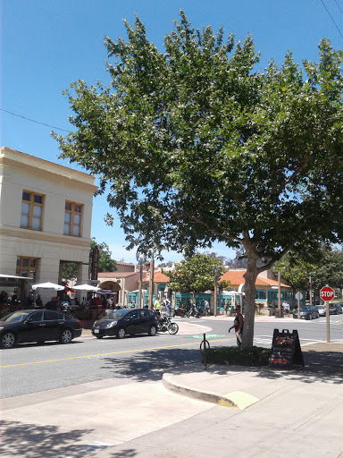 Temecula Olive Oil Company image