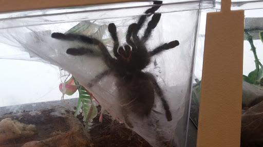 Pet Supply Store «PetSmart», reviews and photos, 466 S Watson Rd, Buckeye, AZ 85326, USA