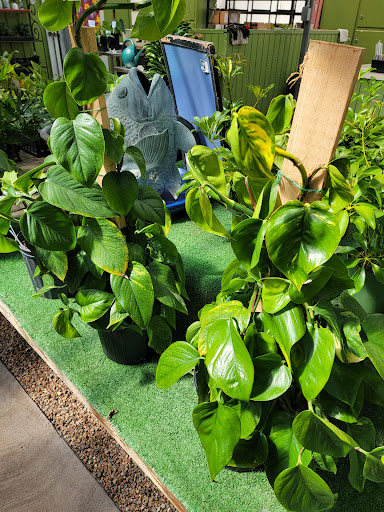 Florist «Platte Floral», reviews and photos, 1417 E Platte Ave, Colorado Springs, CO 80909, USA