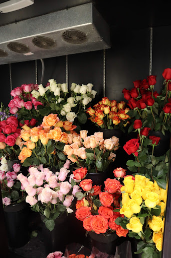 Florist «Central Square Florist», reviews and photos, 653 Massachusetts Ave, Cambridge, MA 02139, USA