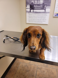Skyline Animal Hospital