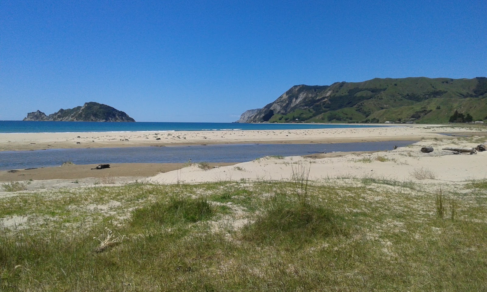 Photo of Anaura Beach wild area