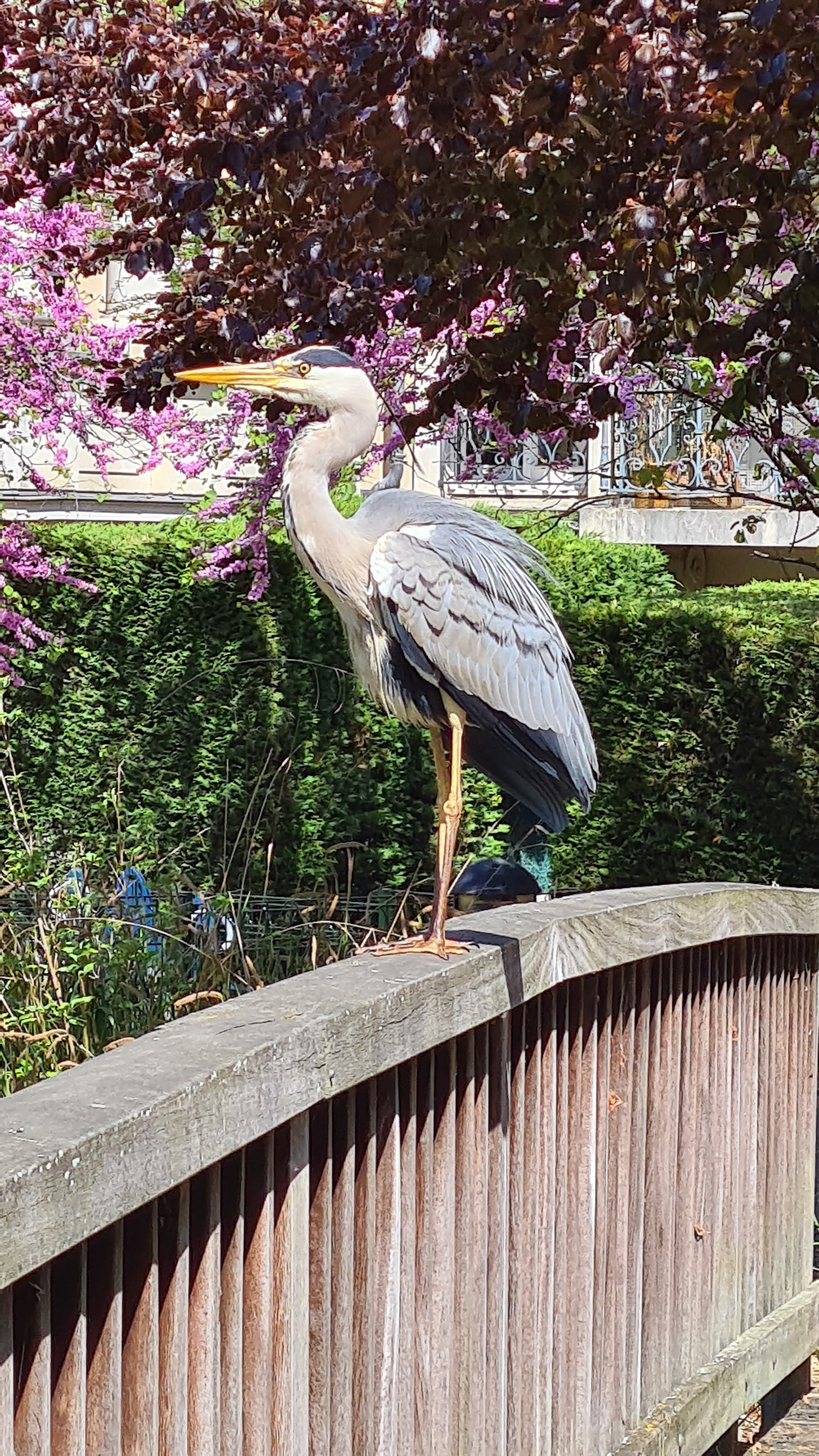 Photo n° 3 de l'avis de Yann.. fait le 28/12/2015 à 21:20