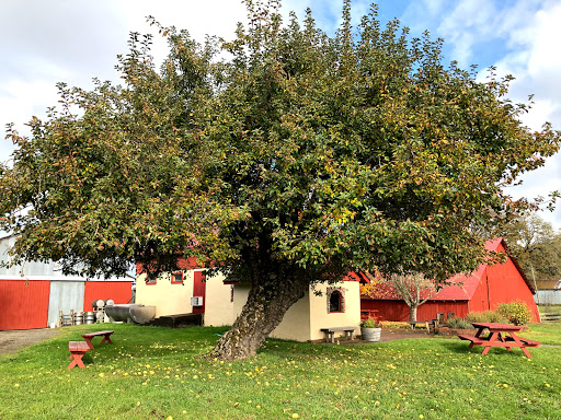 Winery «Tyee Wine Cellars», reviews and photos, 26335 Greenberry Rd, Corvallis, OR 97333, USA