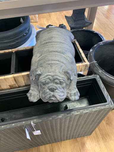 Department Store «HomeGoods», reviews and photos, 7755 N Oracle Rd, Oro Valley, AZ 85704, USA