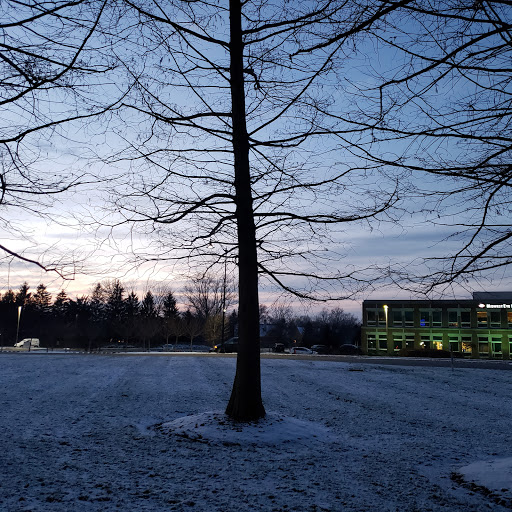 Insurance Agency «GEICO Corporate Office», reviews and photos