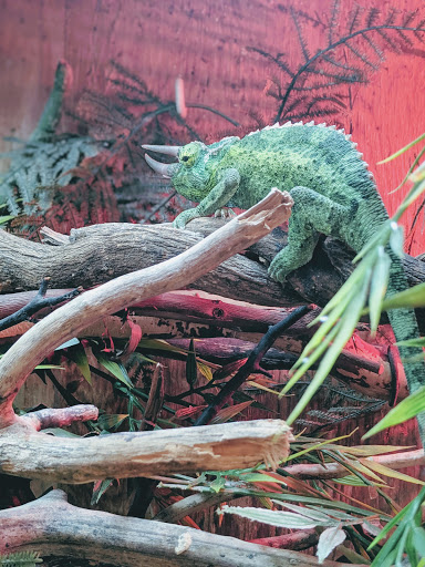 Pet Supply Store «The Animal Connection», reviews and photos, 2550 2550 Judah St & 31st Ave, San Francisco, CA 94122, USA