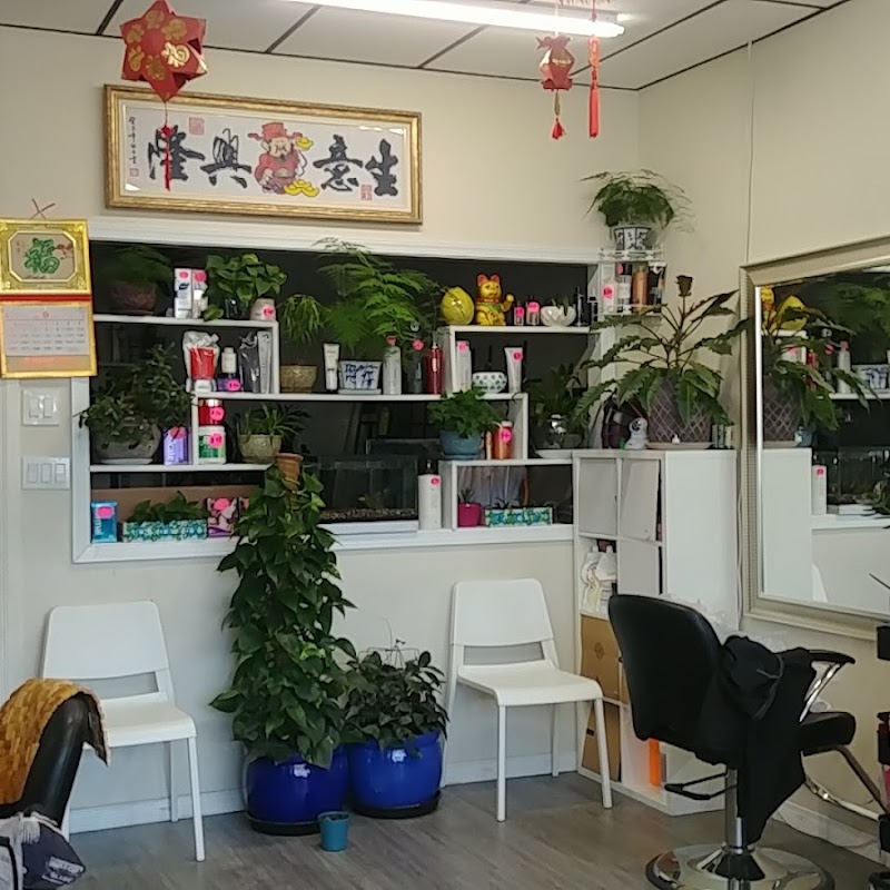 Jin's Beauty Hair Studio