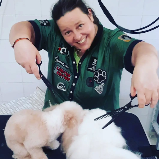 Pensioni per cani e dog hotel a Mordisquitos de Amor