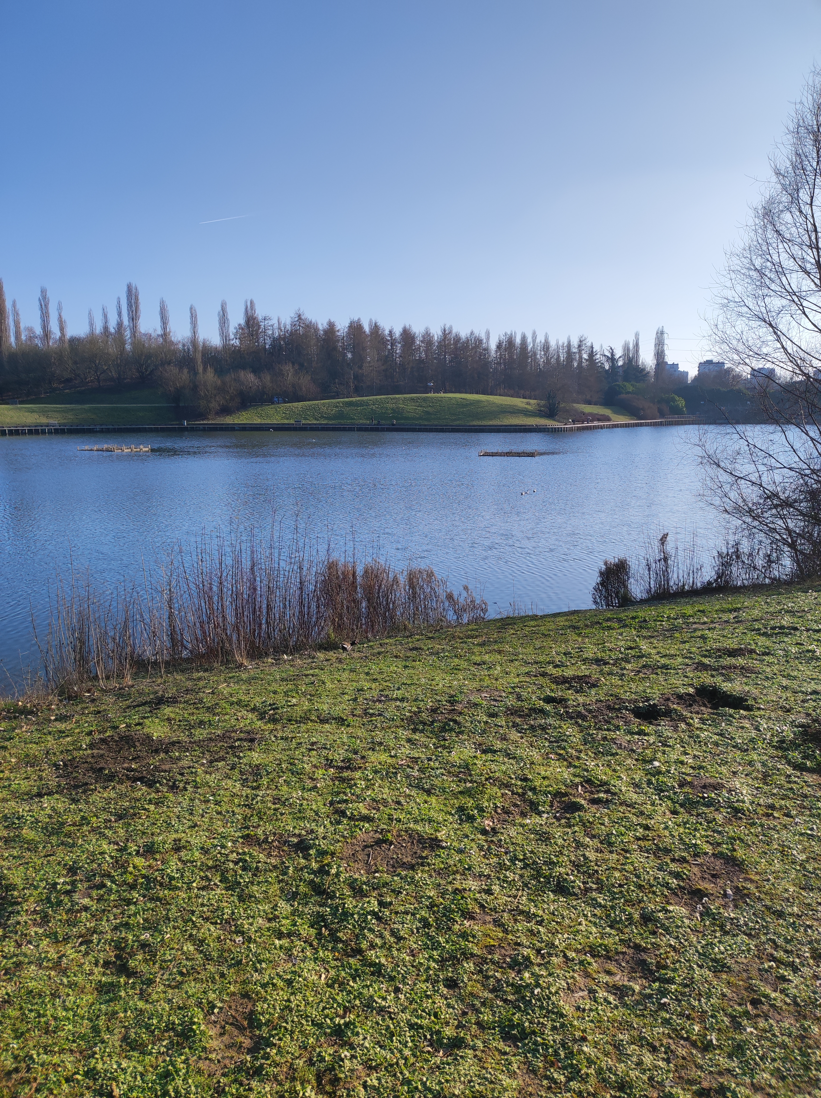 Photo n° 3 de l'avis de Yacine. fait le 22/03/2022 à 16:48