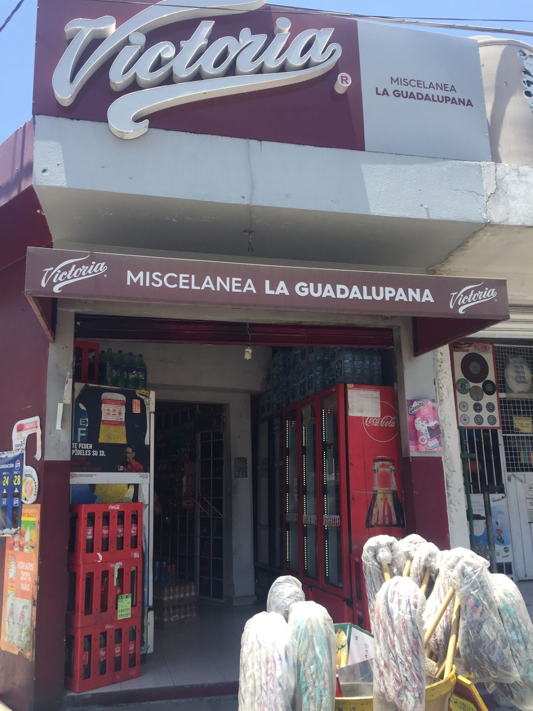 Miscelánea Guadalupana