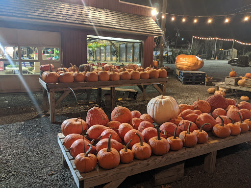 Garden Center «Nalls Produce», reviews and photos, 7310 Beulah St, Alexandria, VA 22315, USA