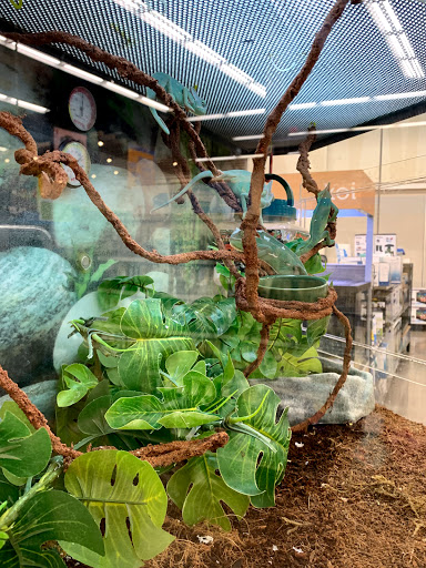 Pet Supply Store «Petco Animal Supplies», reviews and photos, 3452 W Chandler Blvd, Chandler, AZ 85226, USA