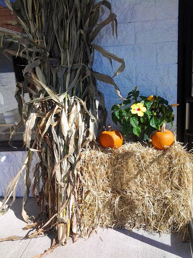 Florist «Forget-Me-Not Florist», reviews and photos, 1083 Park Ave, Cranston, RI 02910, USA