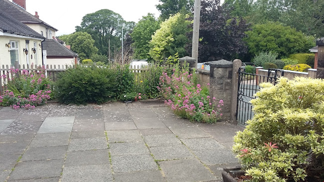 Comments and reviews of Nicola's garden maintenance
