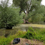 Photo n° 2 de l'avis de Sabine.o fait le 19/06/2018 à 13:02 pour Barques des Hortillonnages d'Amiens - Jardin des Vertueux à Amiens