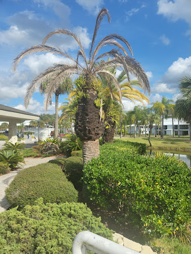 Resort «Saddlebrook Resort», reviews and photos, 5700 Saddlebrook Way, Wesley Chapel, FL 33543, USA