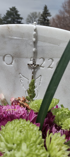 Shopping Mall «Bear Valley Shopping Center», reviews and photos, 3100 S Sheridan Blvd, Denver, CO 80227, USA