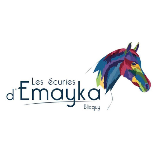 Beoordelingen van Les écuries d'Emayka in Aat - Sportschool