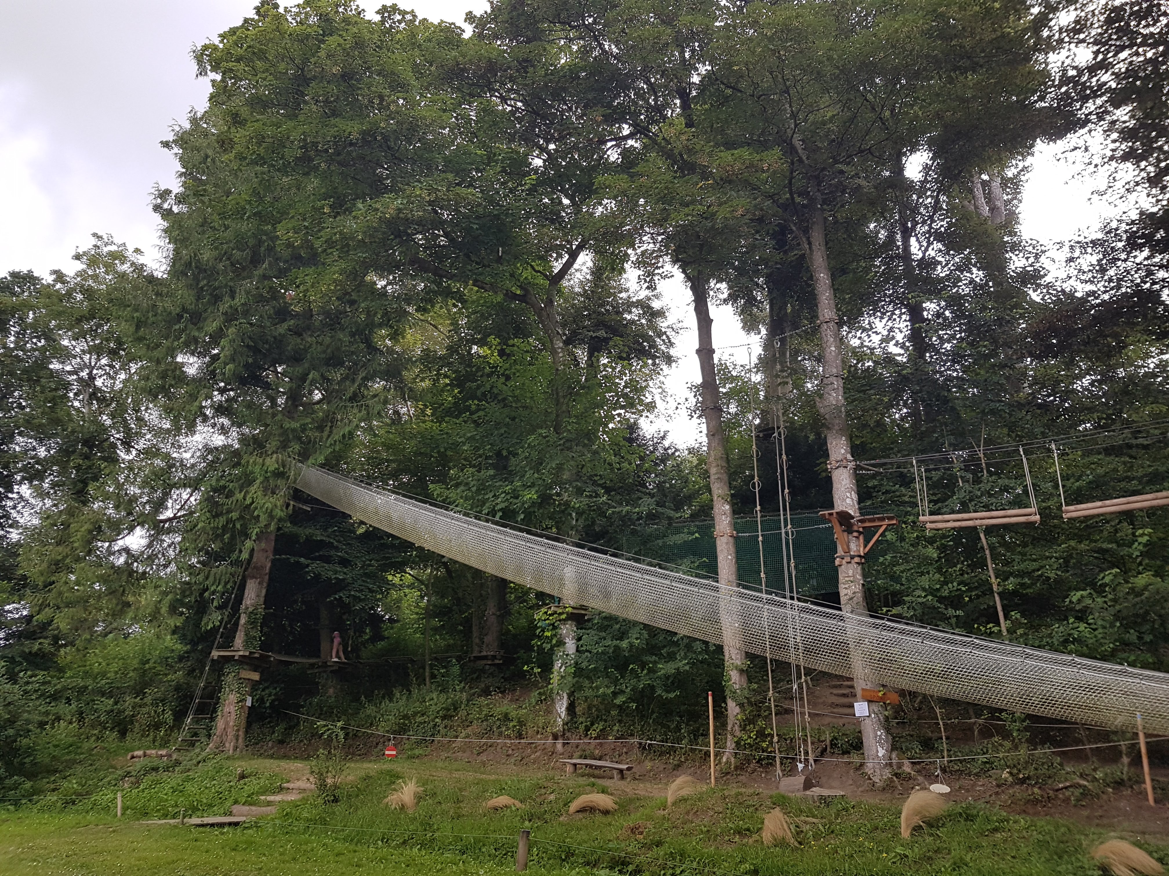Photo n° 3 de l'avis de Gideon.o fait le 17/07/2018 à 10:10