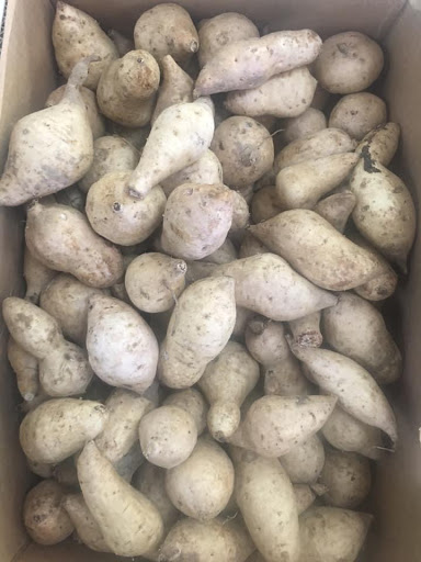 Asian Grocery Store «Asian Supermarket & Gifts Inc», reviews and photos, 4295 E Main St, Columbus, OH 43213, USA