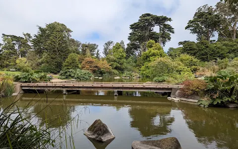 San Francisco Botanical Garden image