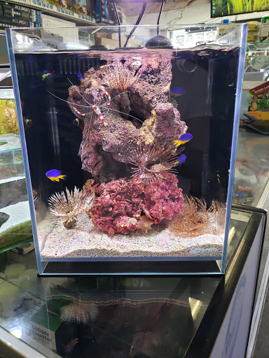 Pet Supply Store «Lotus Aquarium», reviews and photos, 14704 Hawthorne Blvd, Lawndale, CA 90260, USA