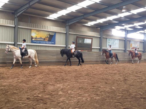 LMG Equestre - Escola de Equitação