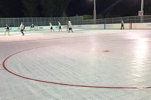 Bermuda Hockey Rink image